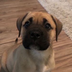 Meet your Posher, Jolene